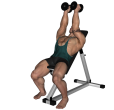 Dumbbell Press - Incline Inwards